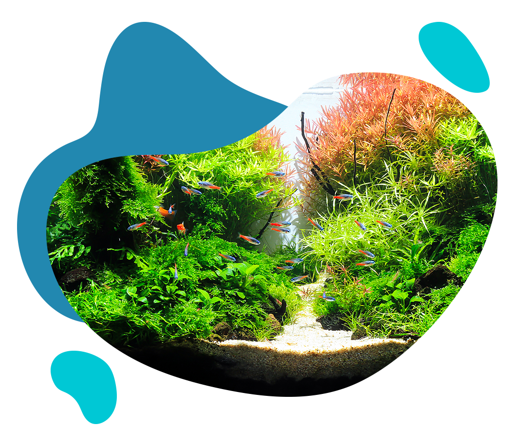Bienvenue sur notre nouveau site