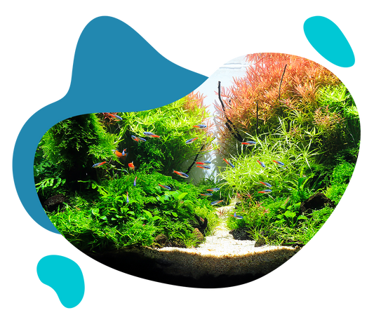 Bienvenue sur notre nouveau site