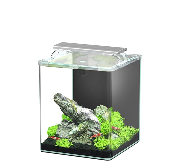 Aquatlantis KUBUS CURVE ESSENTIAL 20l 26x26x30