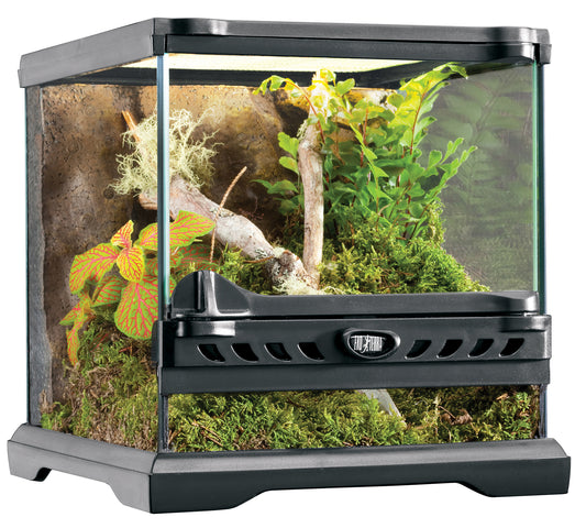 Exo Terra Terrarium arrière-plan inclus 20x20x20 dispo 20/10