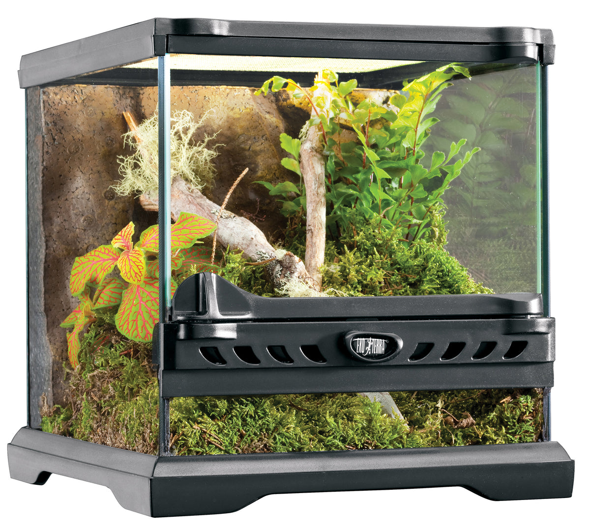 Exo Terra Terrarium arrière-plan inclus 45x45x45