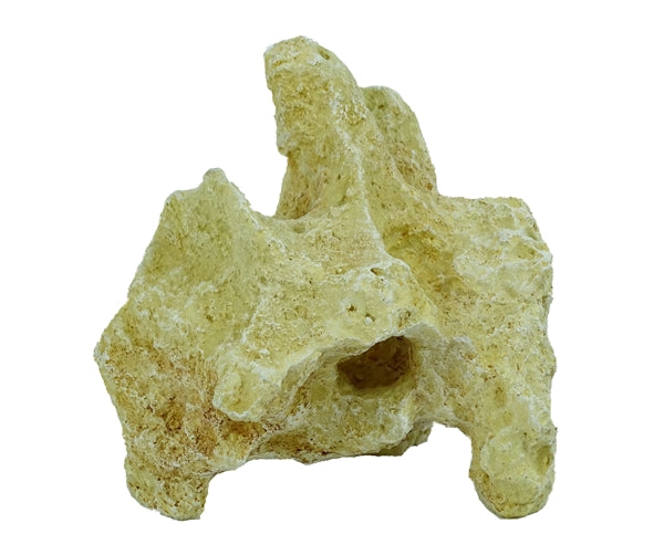 roche moon 1