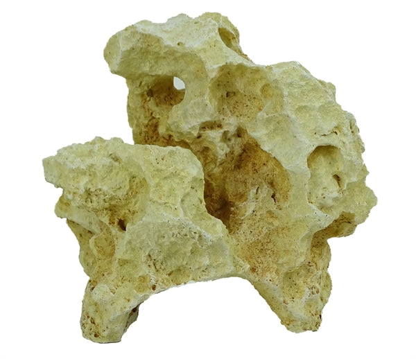 roche moon 2
