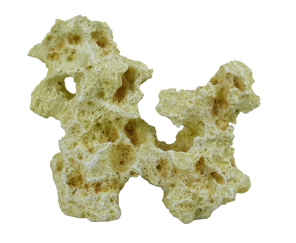 roche moon 5
