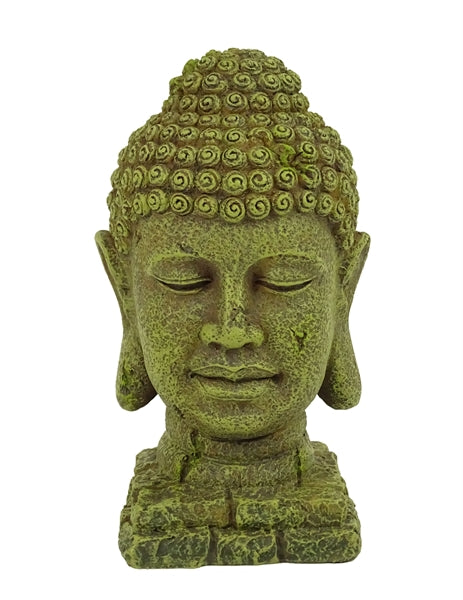 buddha 16cm