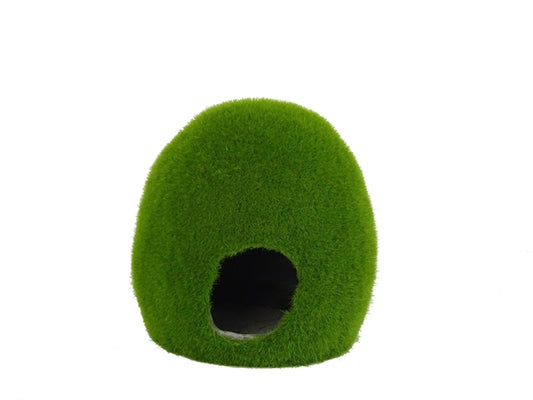 BLUE BELLE PACIFIC MOSSY HOLE M 10.3X9.6X10.4 CM