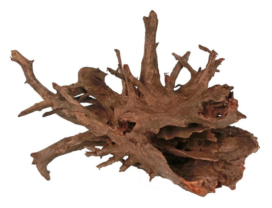 Corbo Root L 40-60cm