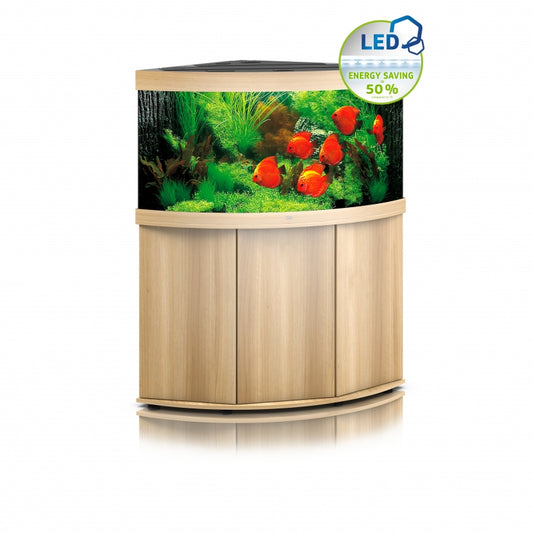 aquarium trigon 350 led chêne