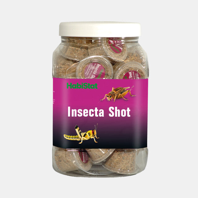 Shot d'insecte Habistat