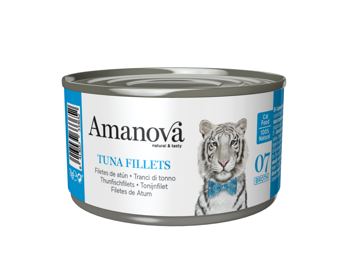 Tuna Fillets - P07 (Bouillon) 70 gr