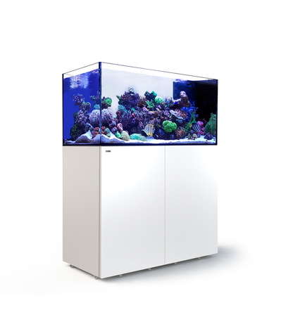 Red Sea Reefer Peninsula 500 G2+ Blanc (Aqua + mbl)