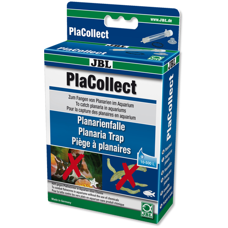 JBL PlaCollect