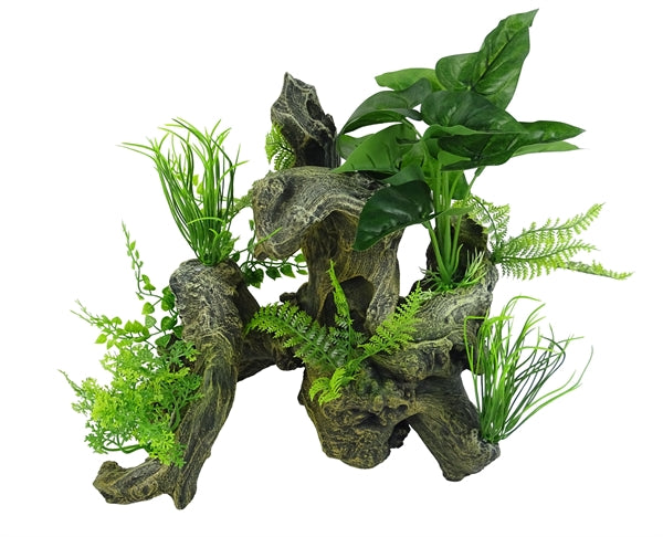 aquascape 6