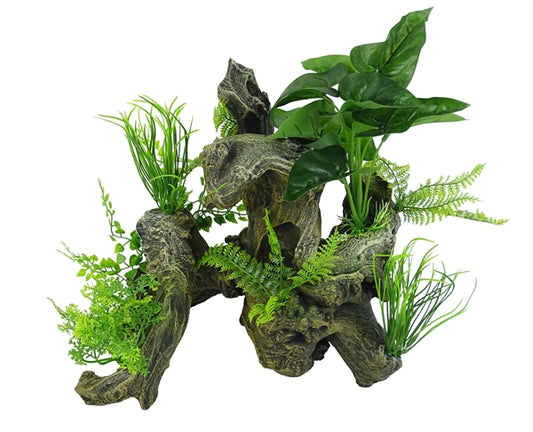aquascape 6