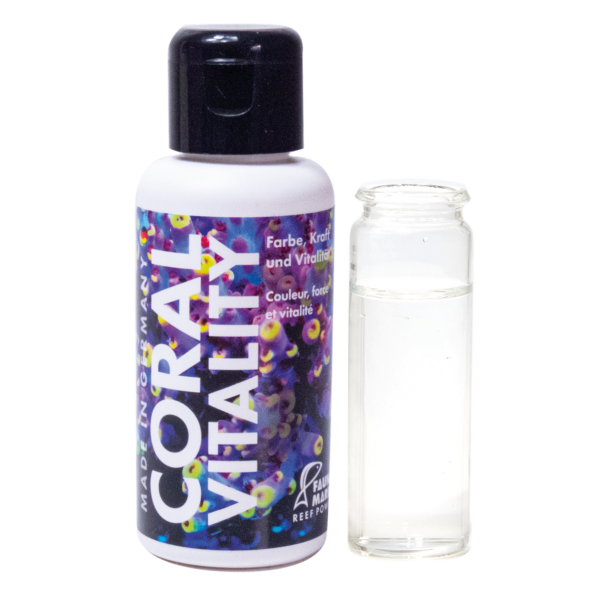 fauna marin coral vitality