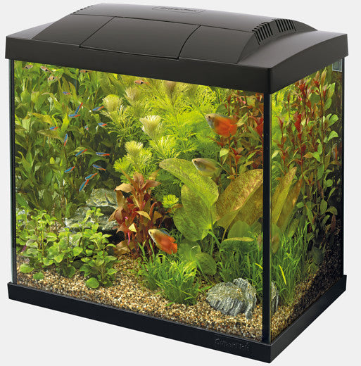 Superfish start 30 tropical kit noir