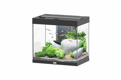 Aquatlantis Aquarium splendid Ultra 60 noir + biobox