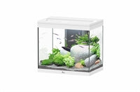Aquatlantis Aquarium splendid Ultra 60 blanc + biobox