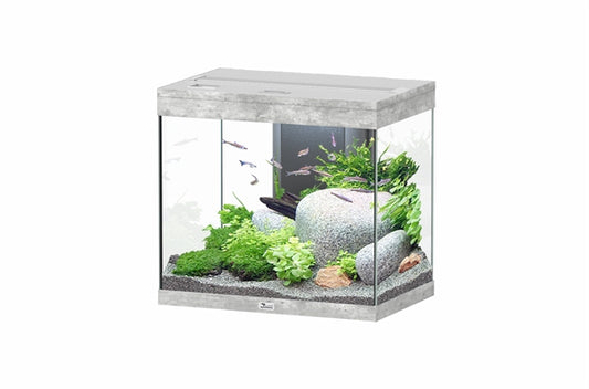 Aquatlantis Aquarium splendid Ultra 60 beton + biobox