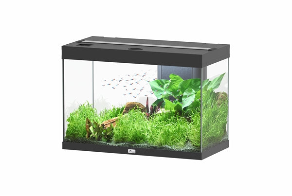 Aquatlantis Aquarium splendid Ultra 80 noir + biobox