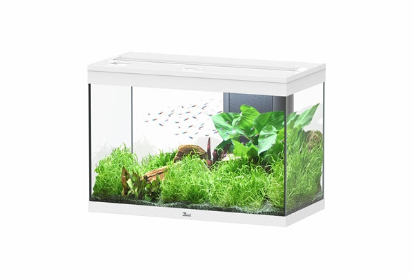Aquatlantis Aquarium splendid Ultra 80 blanc + biobox
