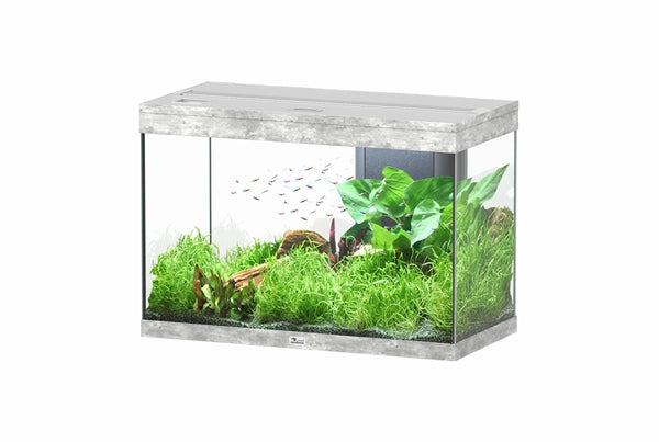 Aquatlantis Aquarium splendid Ultra 80 beton + biobox