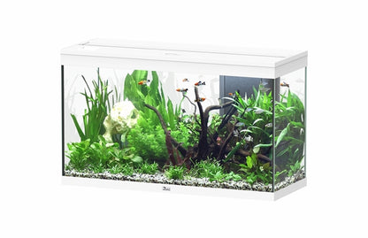 Aquatlantis Aquarium splendid Ultra 100 blanc + biobox