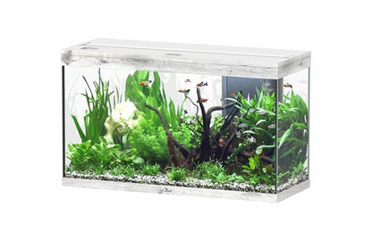 Aquatlantis Aquarium splendid Ultra 100 chêne blanchi + biobox