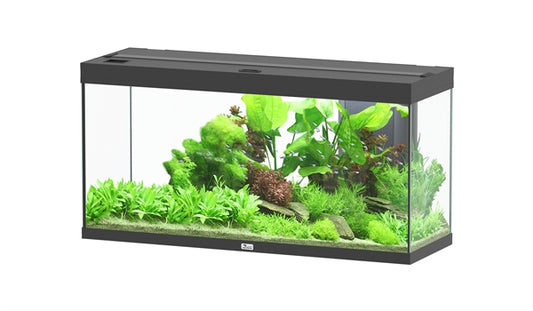 Aquatlantis Aquarium splendid Ultra 120 noir + biobox