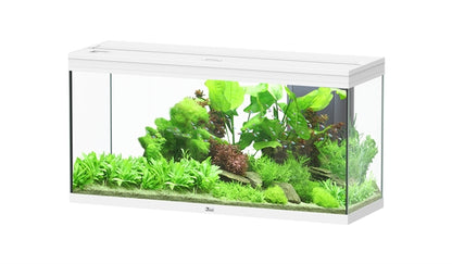 Aquatlantis Aquarium splendid  Ultra 120 blanc + biobox