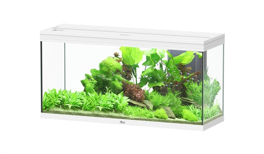 Aquatlantis Aquarium splendid  Ultra 120 blanc + biobox