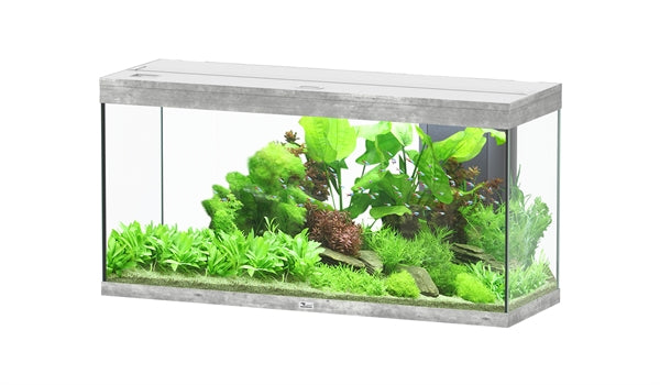 Aquatlantis Aquarium splendid Ultra 120 beton + biobox