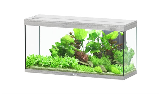 Aquatlantis Aquarium splendid Ultra 120 chêne blanchi + biobox