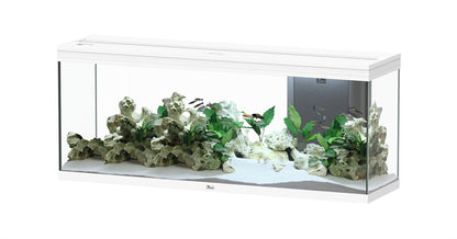 Aquatlantis Aquarium splendid ultra 150 blanc + biobox