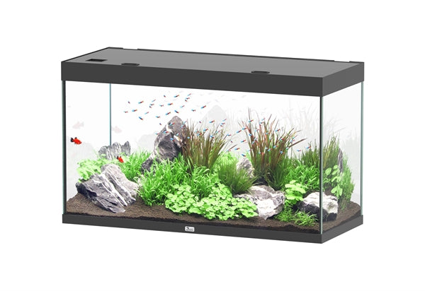 Aquatlantis Aquarium Sublime Ultra 120 x 50 noir + biobox 3