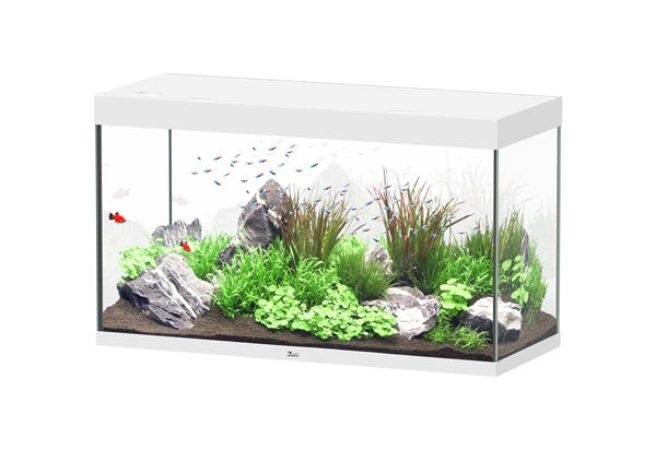 Aquatlantis Aquarium Sublime Ultra 120 x 50 blanc + biobox 3
