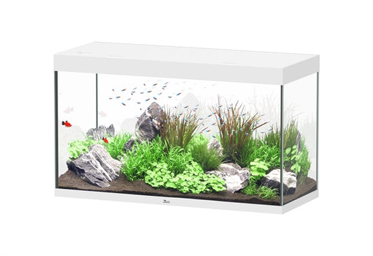 Aquatlantis Aquarium Sublime Ultra 120 x 50 blanc + biobox 3