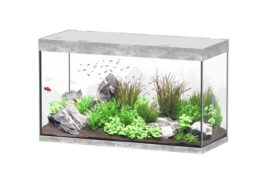 Aquatlantis Aquarium Sublime  Ultra 120 x 50 beton + biobox 3