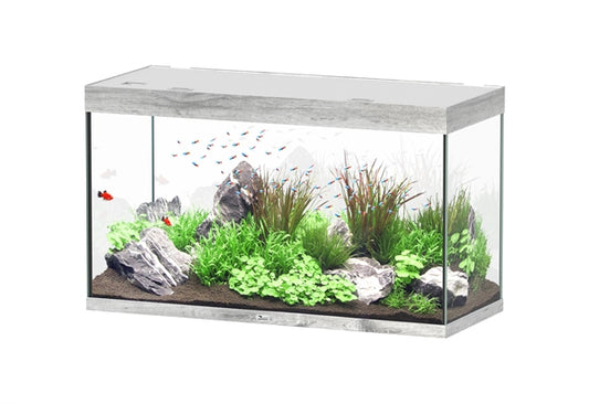 Aquatlantis Aquarium Sublime Ultra 120 x 50 chêne blanchi + biobox 3