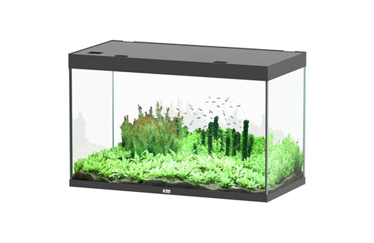 Aquatlantis Aquarium Sublime Ultra 120 x 60 noir + biobox 3