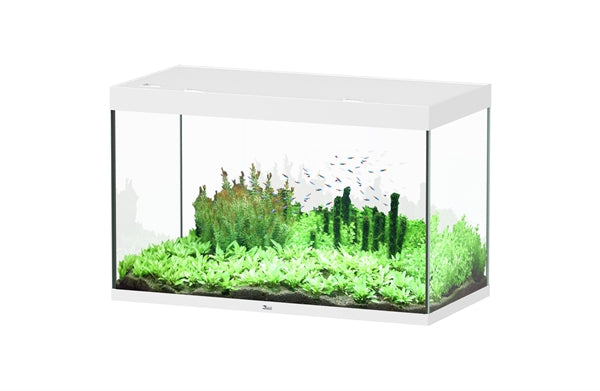 Aquatlantis Aquarium Sublime Ultra 120 x 60 blanc + biobox 3