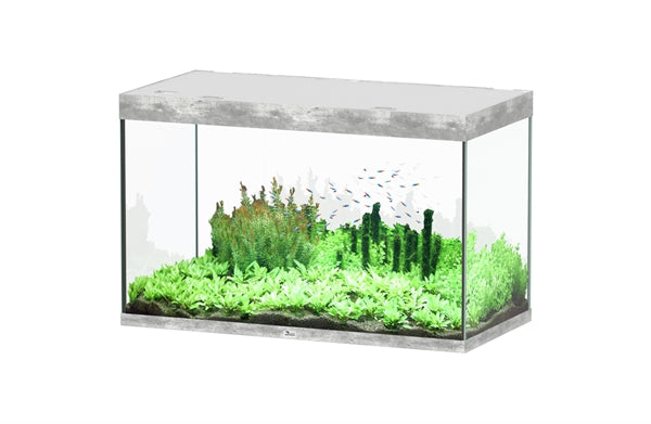 Aquatlantis Aquarium Sublime Ultra 120 x 60 beton + biobox 3