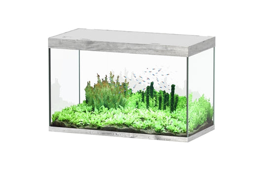 Aquatlantis Aquarium Sublime Ultra 120 x 60 chêne blanchi + biobox 3