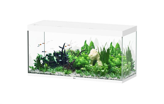 Aquatlantis Aquarium Sublime Ultra 150 x 60 blanc + biobox 3