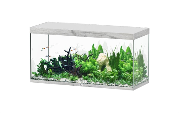 Aquatlantis Aquarium Sublime Ultra 150 x 60 chêne blanchi + biobox 3