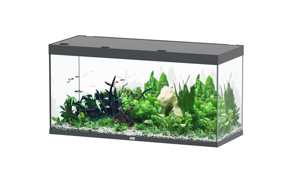 Aquatlantis Aquarium Sublime Ultra 150 x 60 anthracite + biobox 3