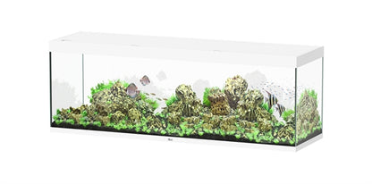 Aquatlantis Aquarium Sublime Ultra 200 x 60 blanc + 2 x biobox 3