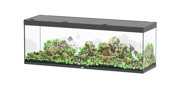 Aquatlantis Aquarium Sublime Ultra 200 x 60 anthracite + 2 x biobox 3