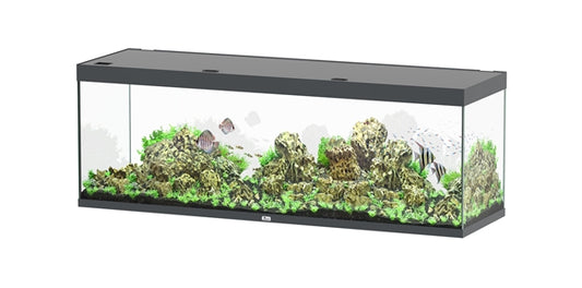 Aquatlantis Aquarium Sublime Ultra 200 x 60 anthracite + 2 x biobox 3