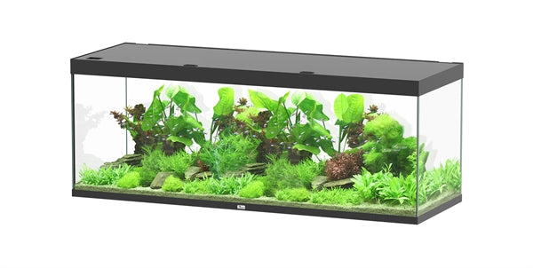 Aquatlantis Aquarium Sublime Ultra 200 x 70 noir + 2 x biobox 3